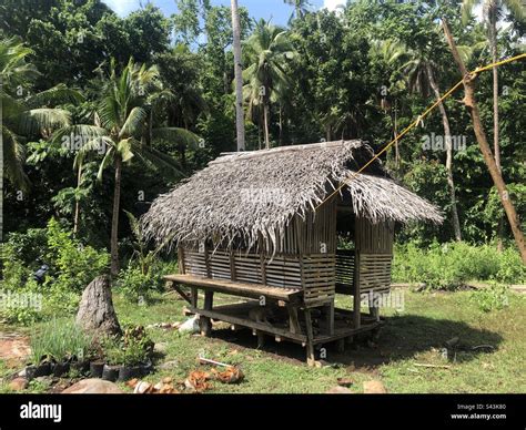 sa kubo kinantot|Kantutan Sa Bahay Kubo.